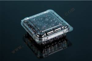 125G GLD-125G PET clamshell  container