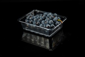 GLD-2217H5 PET fruit apple blister packaging box disposable fresh container punnets/thermoformed trays manufacturers