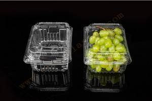 Disposable Blueberry Clamshells Quotes - 750G GLD-750G PET clamshell container – Yihao
