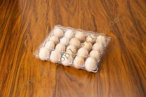 20 count plastic egg containers GLD-00C20 /reusable egg container