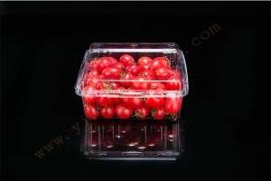 850G GLD-850G PET clamshell container