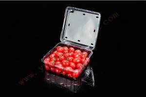 China Wholesale Clear Plastic Clamshell Quotes - 850G GLD-850G PET clamshell container – Yihao