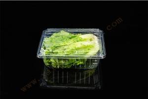 1000G GLD-1000A clear hinged take out containers/Pet Disposable Food Container