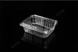 1000G GLD-1000A clear hinged take out containers/Pet Disposable Food Container