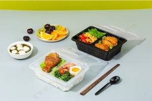 GLD-M134 togo containers|take out food containers