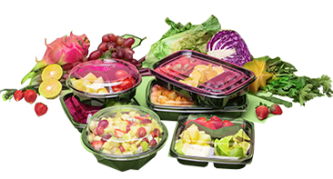 Food and Salad Containers