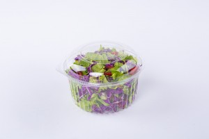 850g GLD-48DL vegetable salad container GLD-48DL/Salad Clamshell Packaging