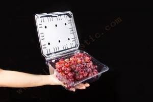 1000g GLD-52M OEM customized Frozen Lock Fresh fruit Packaging/Fruit Plastic Packaging Clamshell