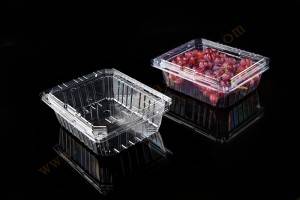 1000g GLD-52M OEM customized Frozen Lock Fresh fruit Packaging/Fruit Plastic Packaging Clamshell