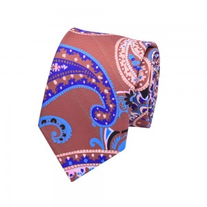 Pag-customize sa pabrika Giimprinta nga Polyester Paisley Tie