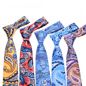 Fabrikstilpasning Trykt polyester Paisley slips