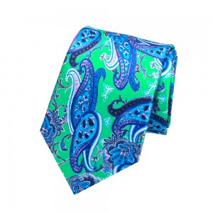 Factory customization Printed Polyester Paisley Tie
