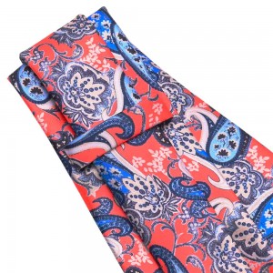 Printed Paisley Polyester Tie