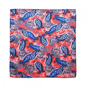 Printed Paisley Polyester Tie