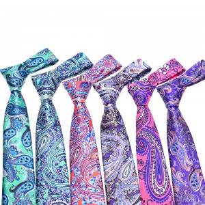 Factory customization Printed Polyester Paisley Tie