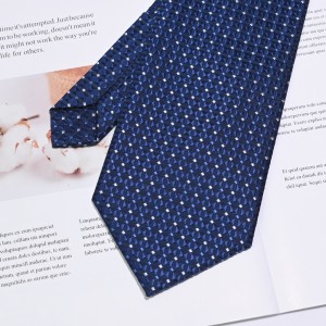 Cà vạt dây kéo bằng vải polyester dệt sẵn dành cho nam sinh tuổi teen