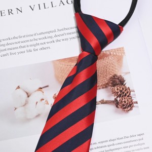 Cravatte di zipper pre-legate in poliester intrecciate per i ragazzi di a scola adolescente