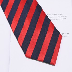 Cravates zippées pré-nouées en polyester tissé pour écoliers adolescents