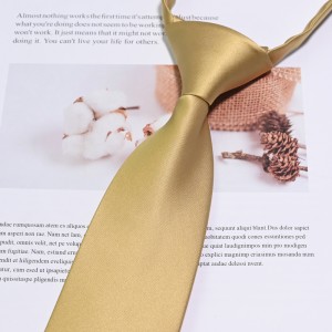 Custom nga Silk Woven Pre-tied Zipper Ties Para sa Shcool Boys Teen