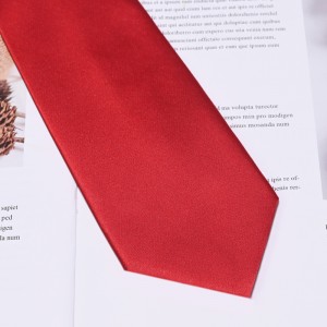 Cravate cu fermoar pre-legate țesute din mătase personalizate pentru băieți adolescenți Shcool