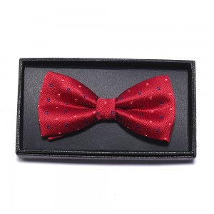 Fashion Wholesale 100% Polyester Bow Tie Gift Set