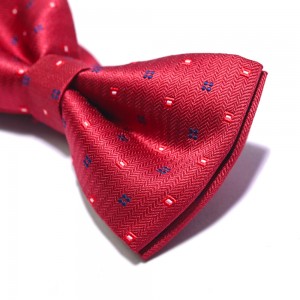 Fashion Wholesale 100% Polyester Bow Tie Gift Set