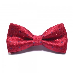 ម៉ូតបោះដុំ 100% Polyester Bow Tie Gift Set