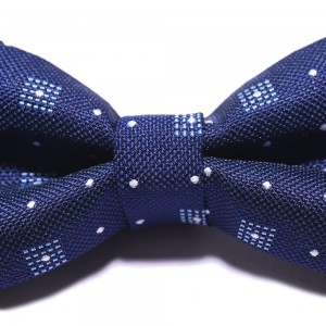 Fashion Wholesale 100% Polyester Bow Tie Set Gift
