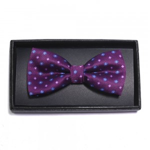 ម៉ូតបោះដុំ 100% Polyester Bow Tie Gift Set