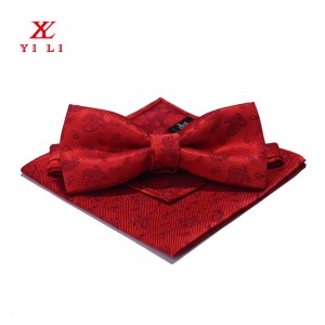 Best Selling Tie Manufacturer Custom Woven Polyester Paisley Bow Tie