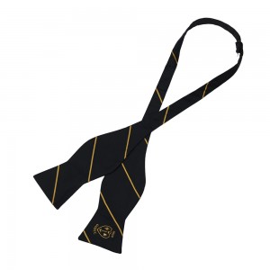 Cravatta à papillon à logo in seta, fatta à l'ordine, servizii di design, turnaround rapidu - Top-Rated