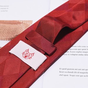 Rabtiet Novità ta 'l-irġiel Custom Patterned Minsuġa Casual Handmade Skinny Neckties