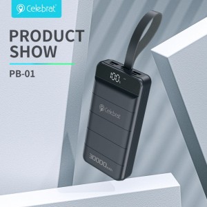Celebrat PB-01 დიდი ტევადობის დენის ბანკი, 30000 mAh ბატარეის პაკეტი USB-C/Lightning/Miscro (შეყვანით) და მაღალსიჩქარიანი PowerIQ დატენვის ტექნოლოგიით iPhone, Samsung Galaxy და სხვა.