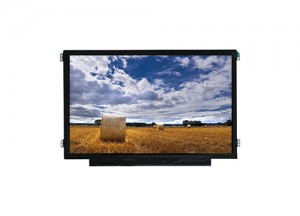 11.6inch tablet LCD screen EDP TN 40pin 1366*768 HD R116NWR6-R4