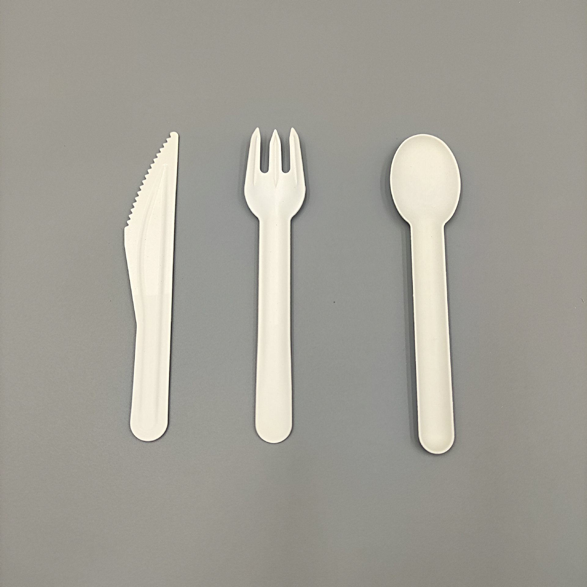 Top Biodegradable Cutlery Wholesaler in China – Import Guide