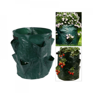 Grow Bags / PE Strawberry Grow Bag / Jamur Woh Bag Pot kanggo Berkebun