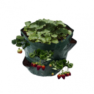 Kultivaj Sakoj /PE Strawberry Grow Bag /Funga Frukta Sako Poto por Ĝardenado Fungo Frukta Sako Poto por Ĝardenado 4