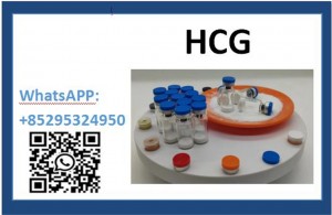 Chorionic Gonadotropin HCG  9002-61-3 Factory shipments are delivered worldwide