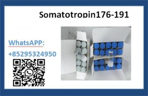 high purity somatotropin (176-191) 66004-57-7 factory outlet Quality first in the world
