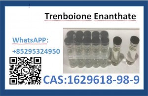 Latest batch steroid oil  CAS:1629618-98-9 Trenbolone Enanthate