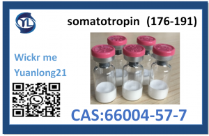 ຄວາມບໍລິສຸດສູງ somatotropin (176-191) 66004-57-7 ໂຮງງານຜະລິດຄຸນນະພາບທໍາອິດໃນໂລກ