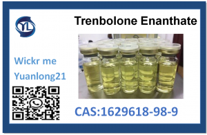 น้ำมันสเตียรอยด์ชุดล่าสุด CAS: 1629618-98-9 Trenbolone Enanthate