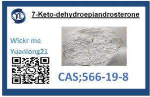 7-Keto-dehydroepiandrosterone CAS:566-19-8 Fanaterana azo antoka ho an'i CHINA