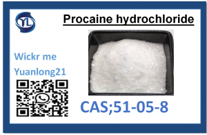 Procaine hydrochloride CAS: 51-05-8 famatsiana mivantana avy amin'ny orinasa