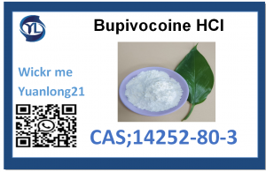 Bupivacaine hydrochloride CAS: 14252-80-3 famatsiana mivantana avy amin'ny orinasa