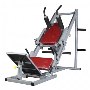 Best quality Home Gym Strength Machines - Sissy Squat Machines Leg Press – Yunlingyu