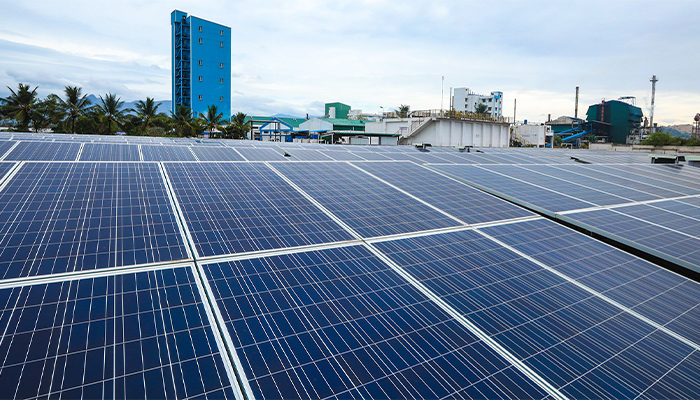 Global companies sign more PV capacity in 2021 despite rising PV costs