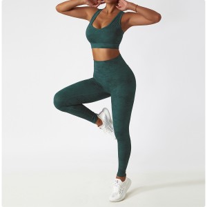Women Elastic Compression Quick Dry Lightweight Fitness Leggings Bra Set