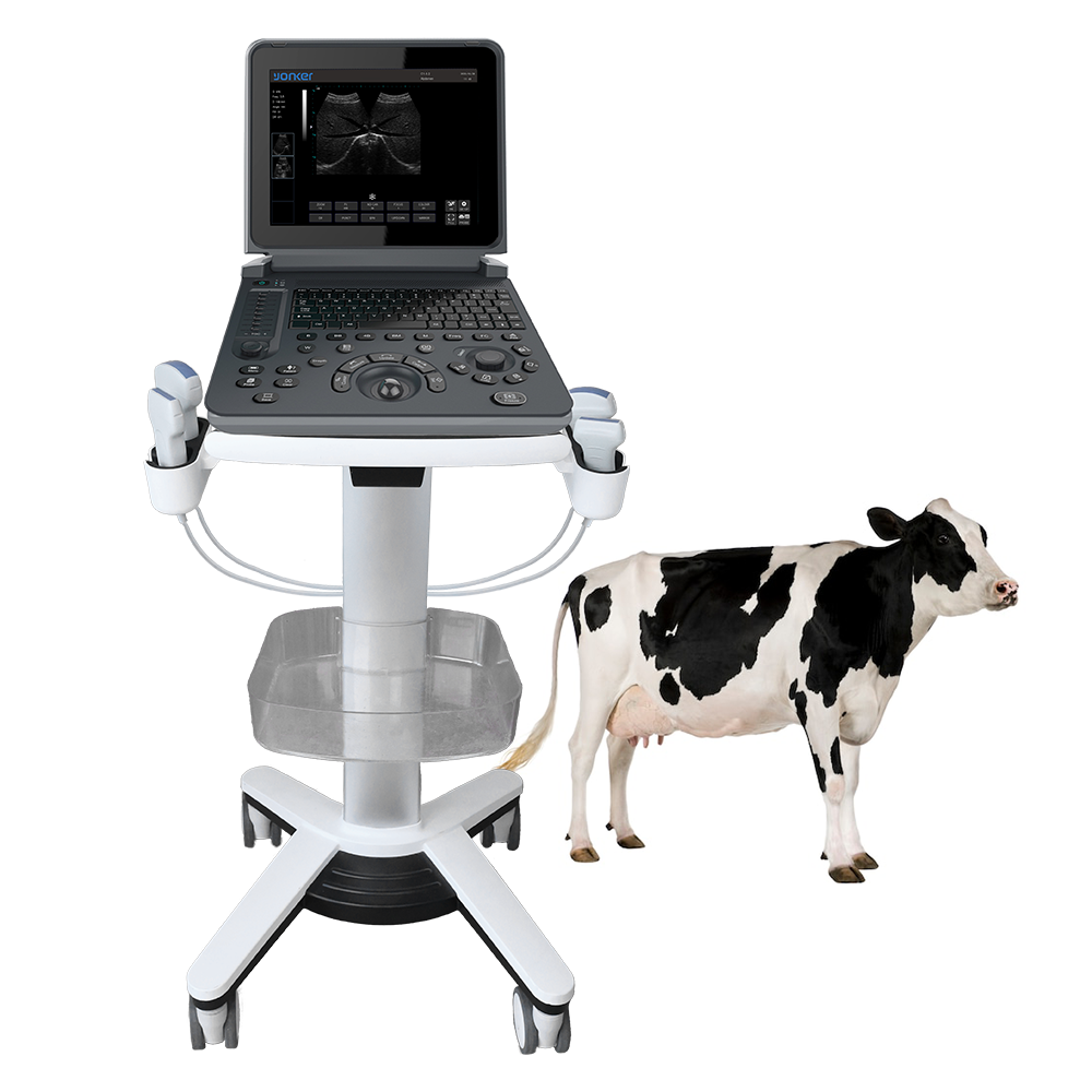 YK-V12 nigrum et album veterinarii laptop ultrasound