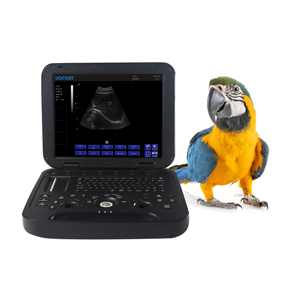 Black and white Veterinary Laptop Ultrasound Diagnostic System YK-V15 （PMS-V15）